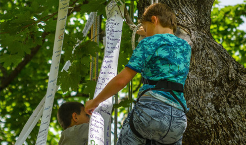 Les murs-ailleurs collèges Vauban et Guillestre, école primaire d'Eygliers maisons de retraite de Guillestre, Briançon, l'Argentière et Embrun